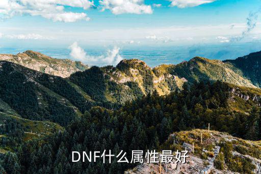 DNF什么属性最好