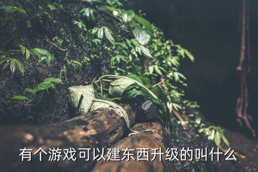 游戏装备升级叫什么，新手装备升级是什么意思