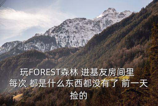 玩FOREST森林 进基友房间里 每次 都是什么东西都没有了 前一天捡的