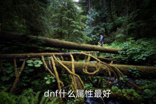 dnf什么属性，dnf属性是什么