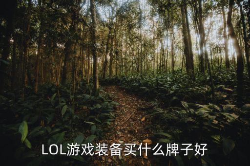 LOL游戏装备买什么牌子好