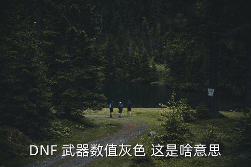 DNF 武器数值灰色 这是啥意思