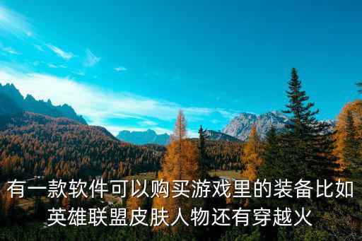 有一款软件可以购买游戏里的装备比如英雄联盟皮肤人物还有穿越火