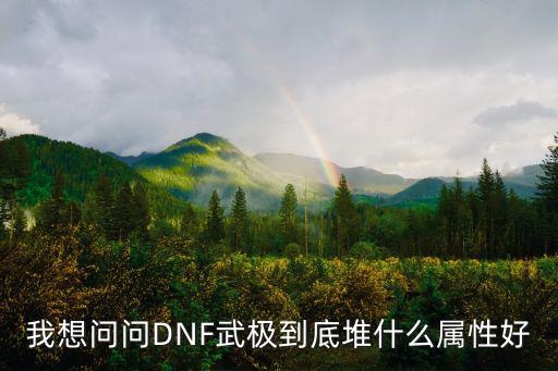 我想问问DNF武极到底堆什么属性好