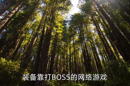 什么游戏装备靠打boss，现在玩什么游戏可以直接爆极品装备靠刷BOSS的装备啊