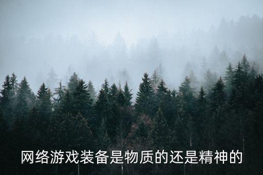 网络游戏装备是物质的还是精神的