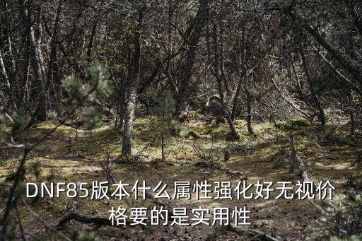 DNF85版本什么属性强化好无视价格要的是实用性