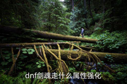 dnf剑魂走什么属性强化