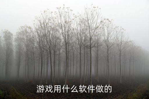 游戏用什么软件做的