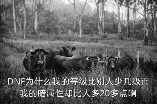 DNF为什么我的等级比别人少几级而我的暗属性却比人多20多点啊