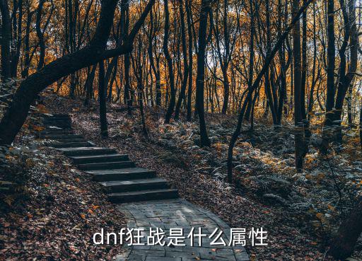 dnf狂战是什么属性