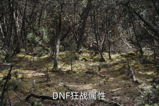 DNF狂战属性