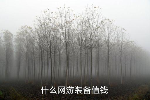 什么网游装备值钱