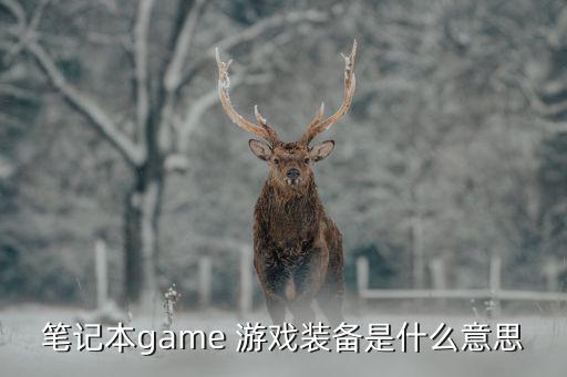 笔记本game 游戏装备是什么意思