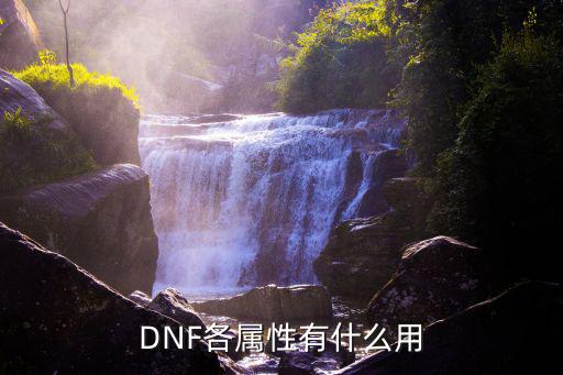 dnf属性是什么，dnf属性有哪些