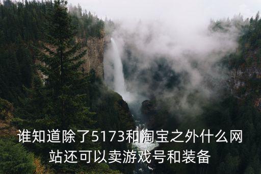 谁知道除了5173和淘宝之外什么网站还可以卖游戏号和装备