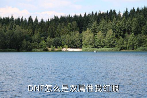 DNF怎么是双属性我红眼