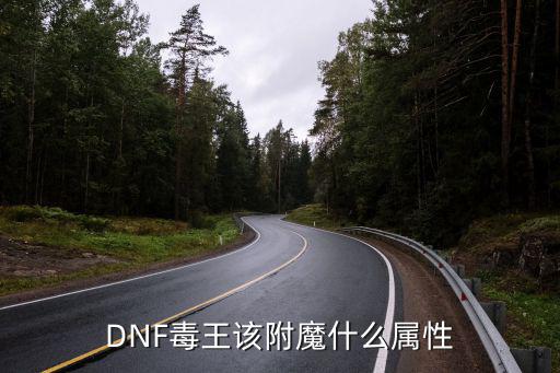 DNF毒王该附魔什么属性