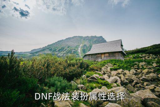 DNF战法装扮属性选择