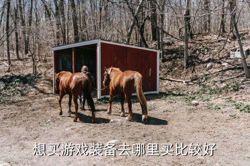 游戏装备买什么好呢男生，想买游戏装备去哪里买比较好