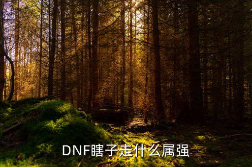 dnf修罗走什么属性强化，dnf修罗玩什么属性强化最好