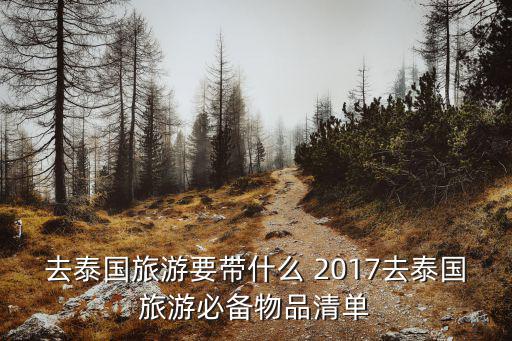 去泰国旅游要带什么 2017去泰国旅游必备物品清单