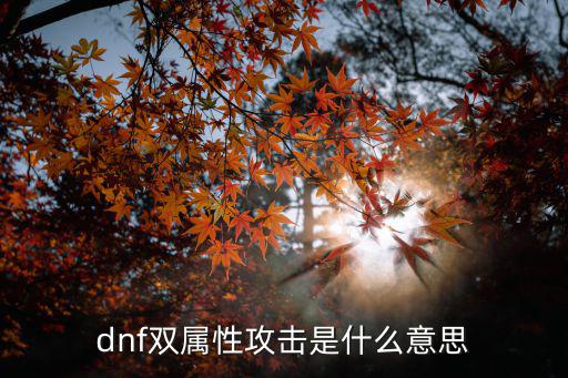 dnf双属性攻击是什么意思