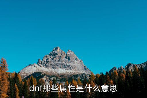 dnf有什么属性，dnf属性有哪些