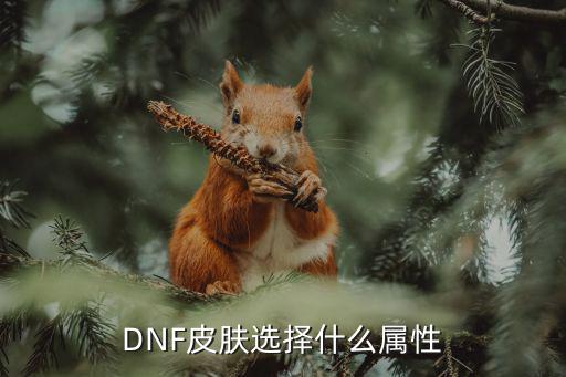 DNF皮肤选择什么属性