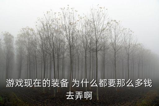 游戏现在的装备 为什么都要那么多钱去弄啊