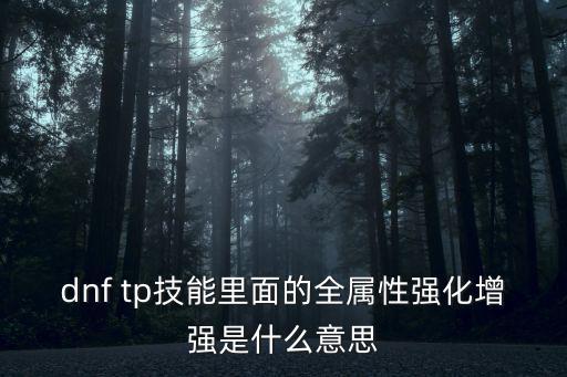 dnf tp技能里面的全属性强化增强是什么意思