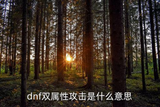 dnf为什么用双属性攻击，dnf双属性攻击是什么意思