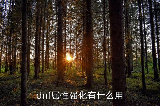 dnf属性强化有什么用