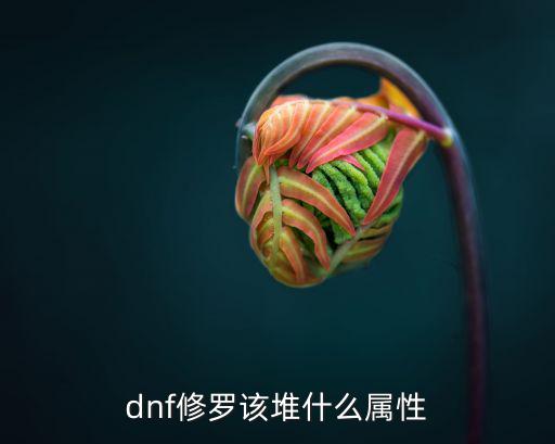 dnf修罗该堆什么属性