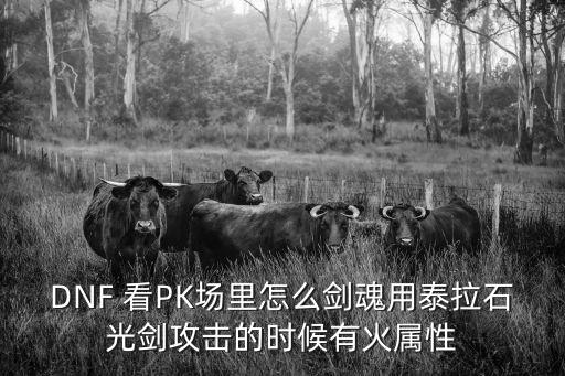 DNF 看PK场里怎么剑魂用泰拉石光剑攻击的时候有火属性