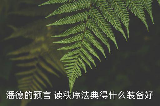 潘德的预言 读秩序法典得什么装备好