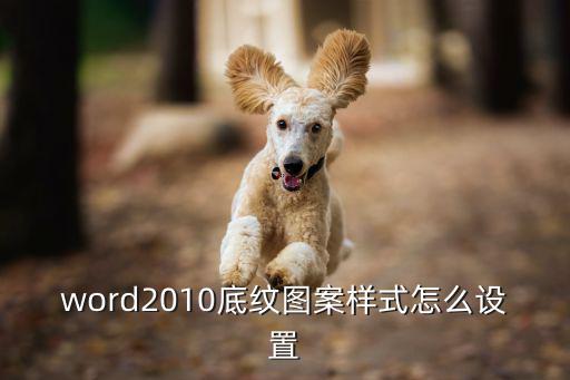 word2010底纹图案样式怎么设置