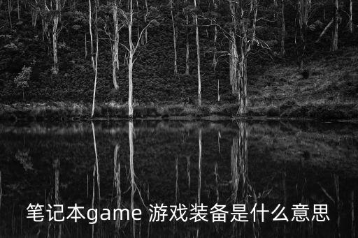 笔记本game 游戏装备是什么意思