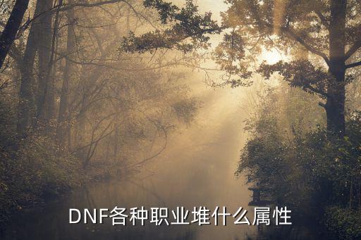 DNF各种职业堆什么属性