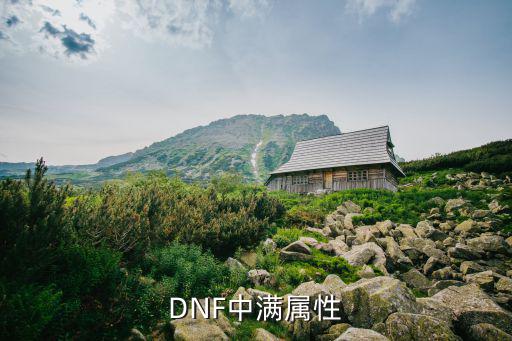 DNF中满属性