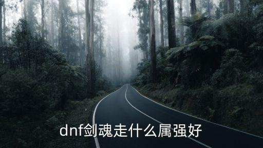 dnf剑魂走什么属性强化，dnf剑魂走什么属性强化