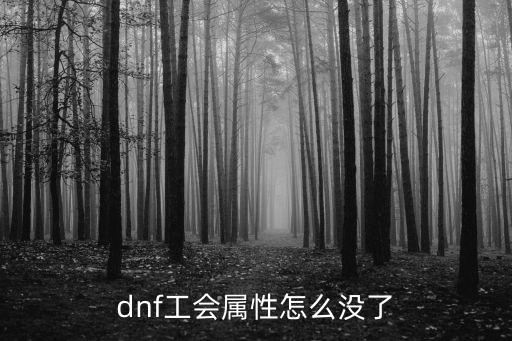 dnf工会属性怎么没了