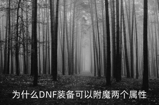 为什么DNF装备可以附魔两个属性