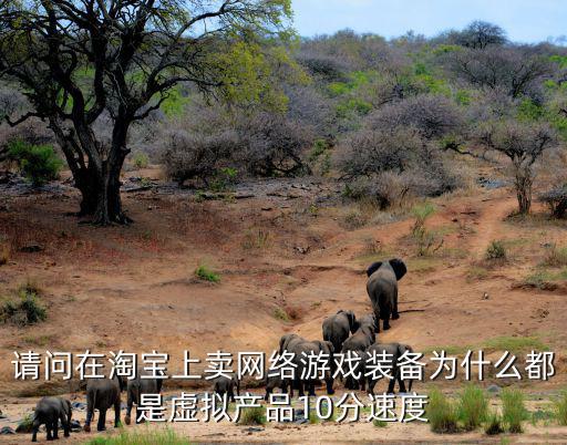 请问在淘宝上卖网络游戏装备为什么都是虚拟产品10分速度