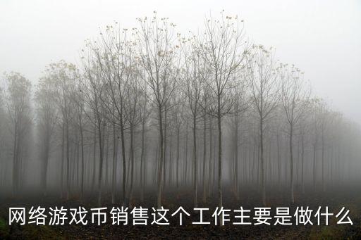 网络游戏币销售这个工作主要是做什么