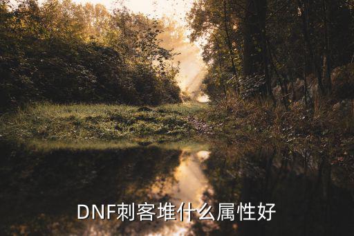 DNF刺客堆什么属性好