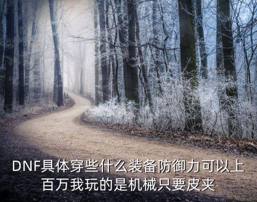 DNF具体穿些什么装备防御力可以上百万我玩的是机械只要皮夹