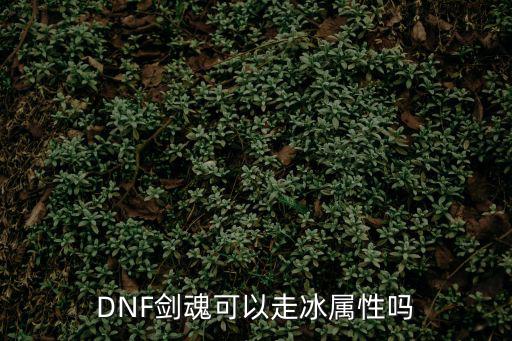 DNF剑魂可以走冰属性吗