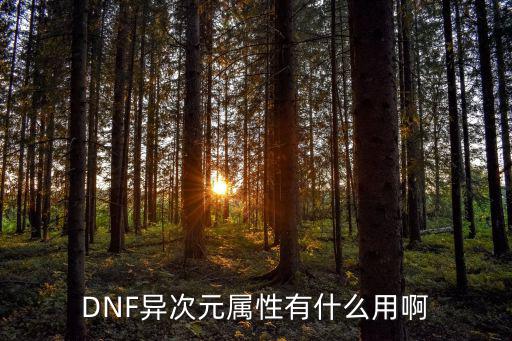 DNF异次元属性有什么用啊