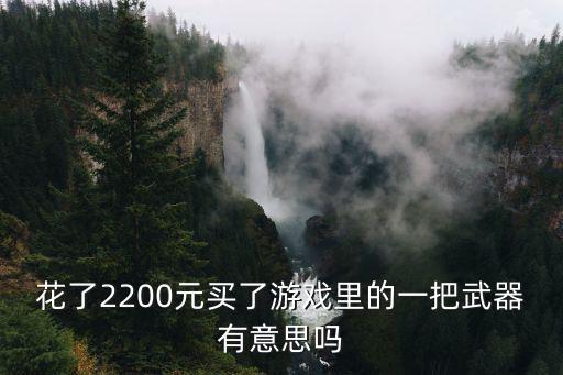 花了2200元买了游戏里的一把武器有意思吗